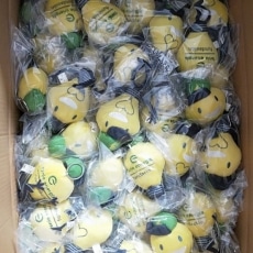Peluche Promocional Bombilla FENIE