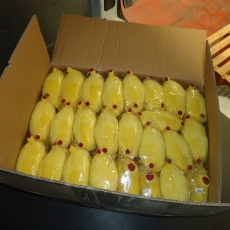 Peluche Publicitario Vejiga
